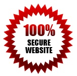 100% secure website